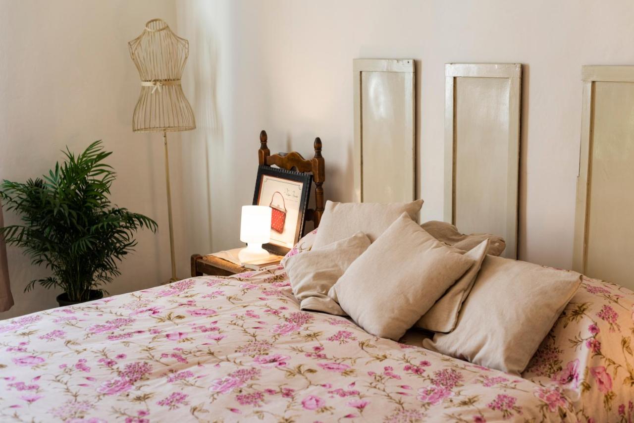 Apartamento Il Lucernario Pisa